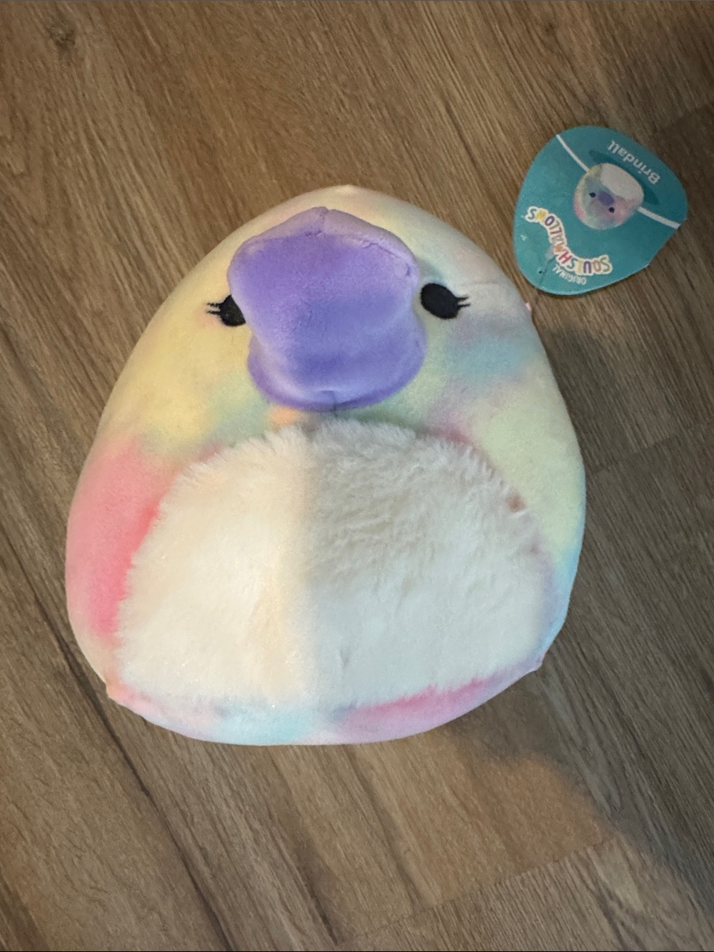 Squishmallows Pastel Rainbow Brindall Plush with Purple Beak